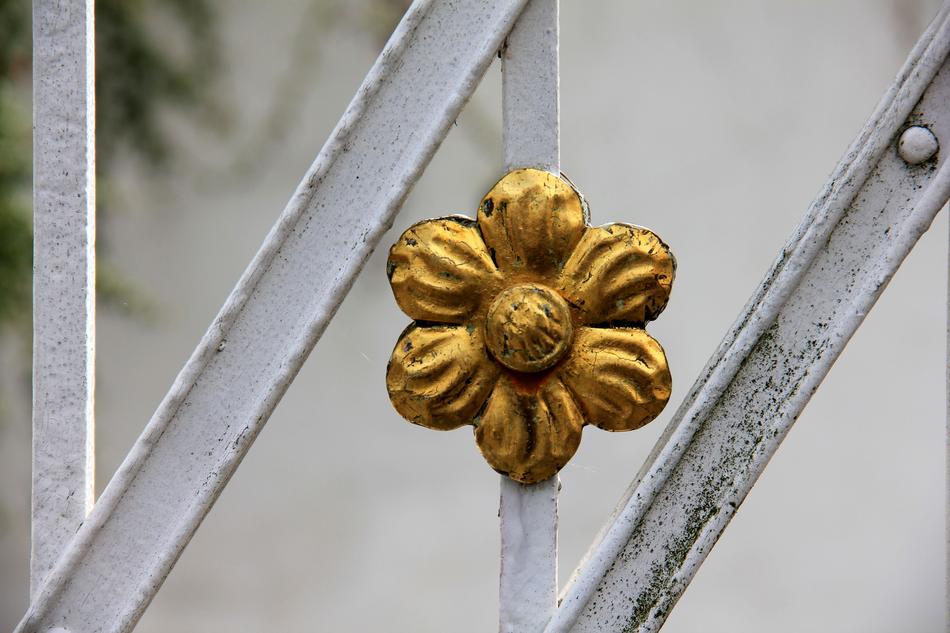 gold flower on a metal grate
