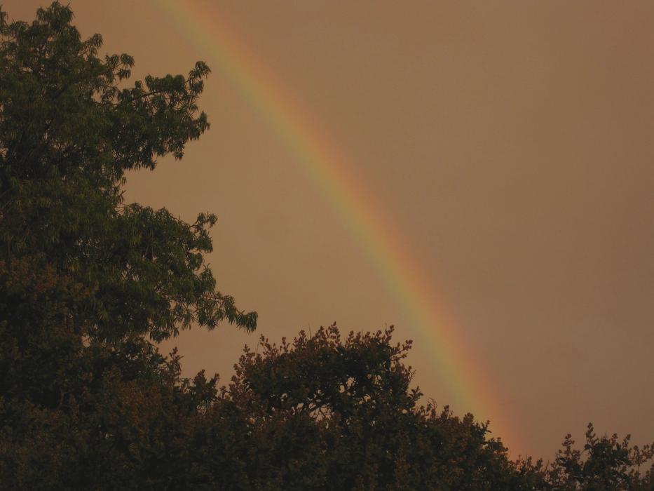 Rainbow Arc Colorful