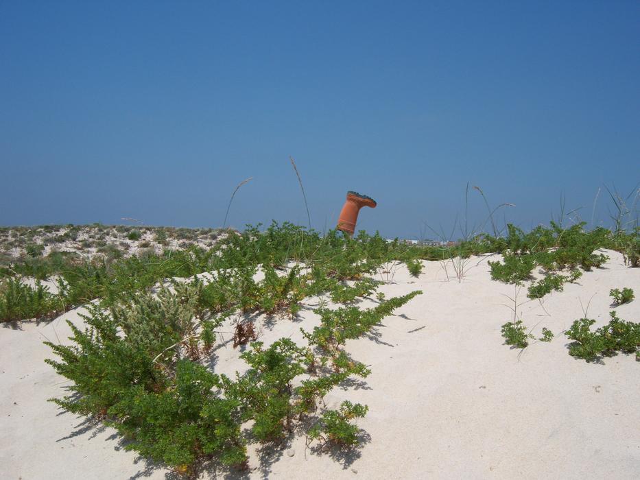 Portugal Algarve Sand