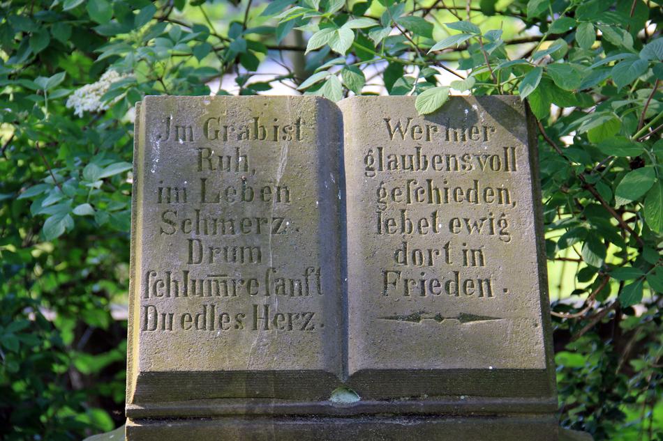 Old tombstone with the book, among the plants with green leaves