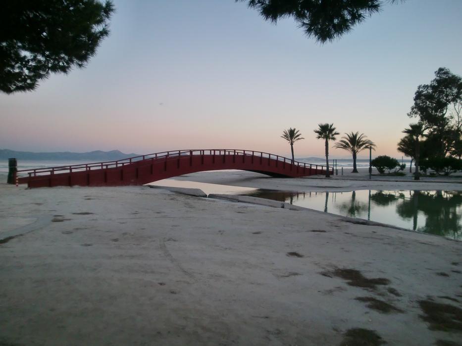 Bridge River Mirroring Palm