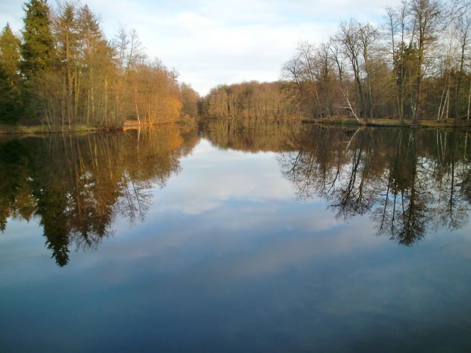 Lake Mirroring Sky