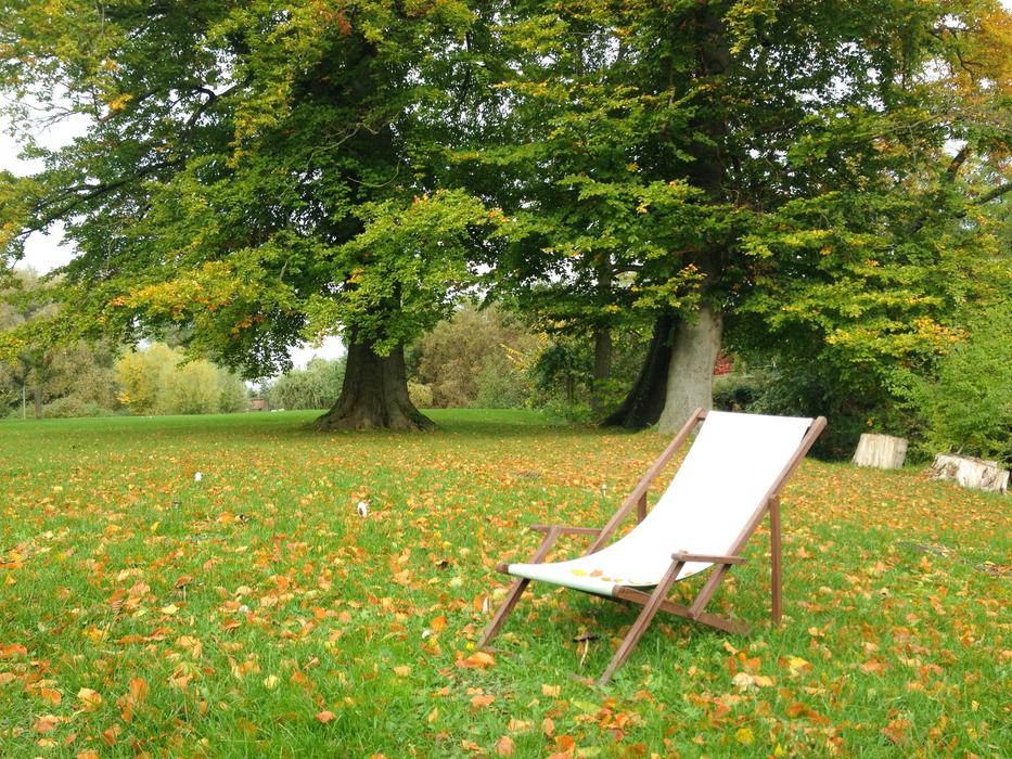 sun lounger on a green meadow near the lake in autumn