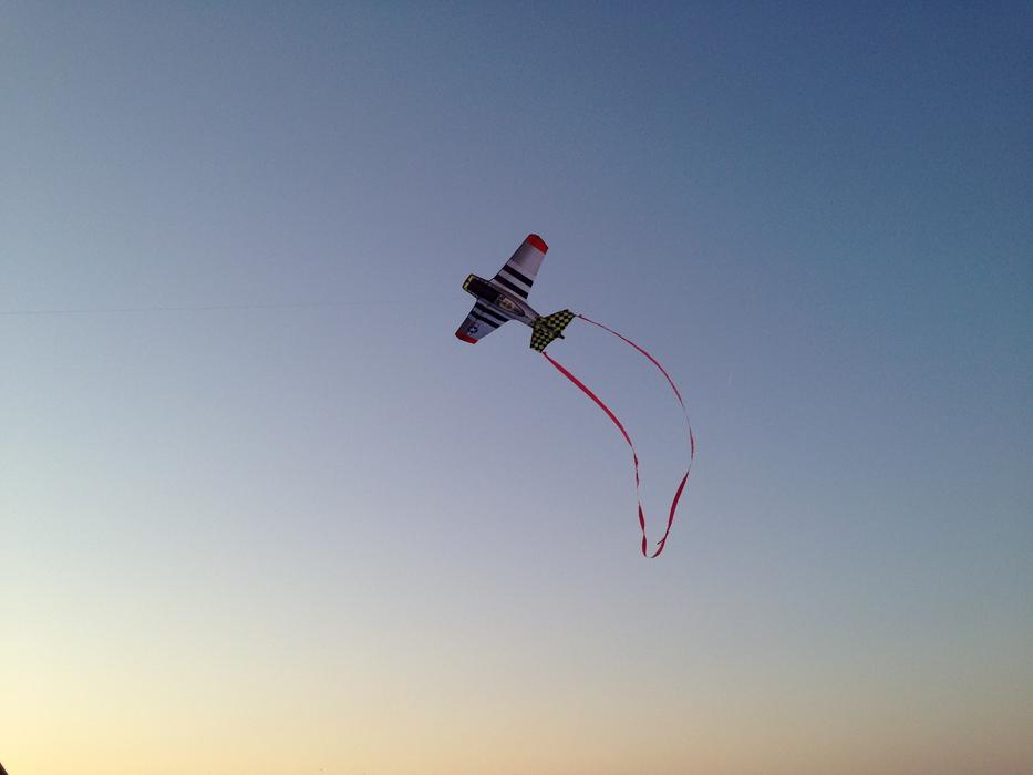kite flying in the sky in the evening