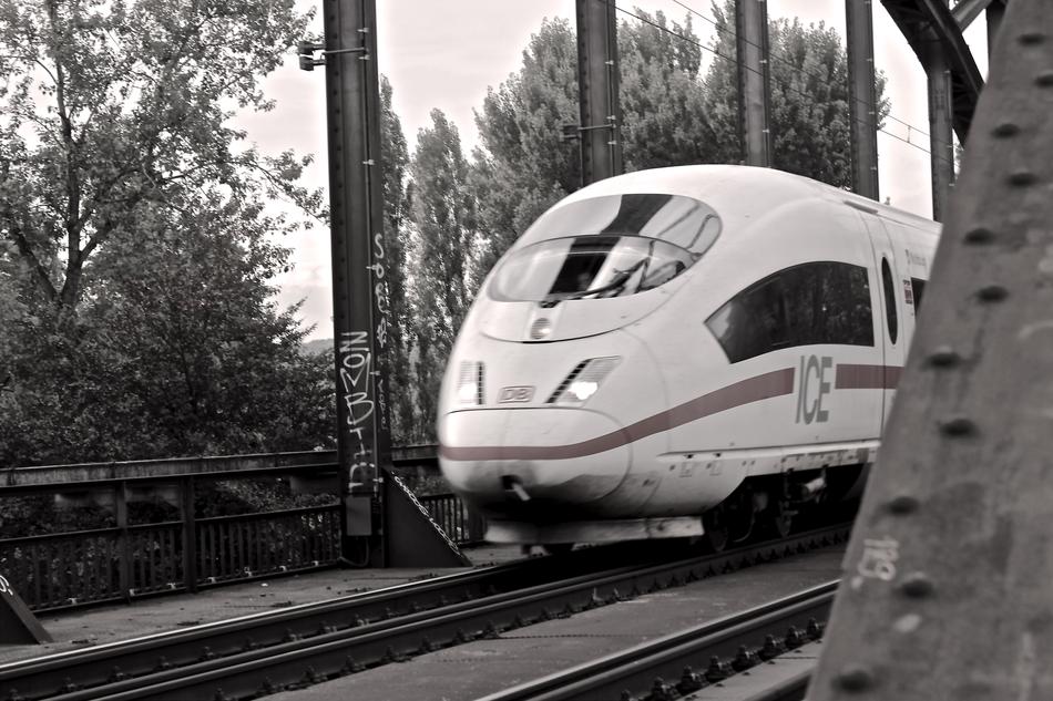 Black and white landscape with the train on the railway, among the trees
