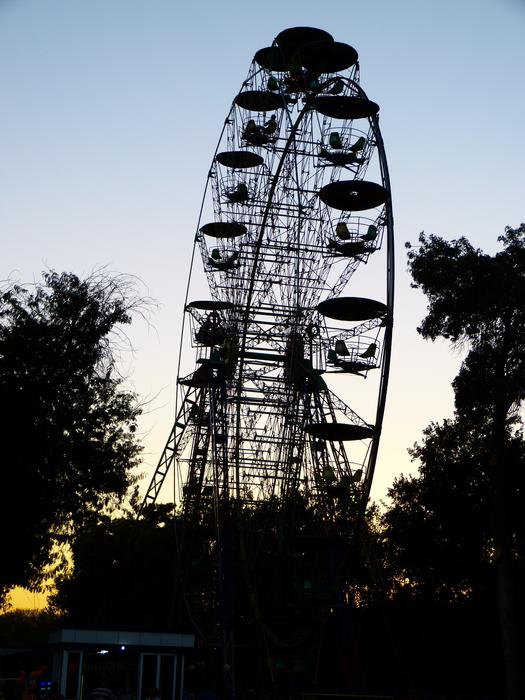 ferris wheel in the park at night