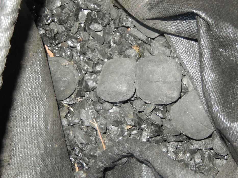 Coal Black Bag