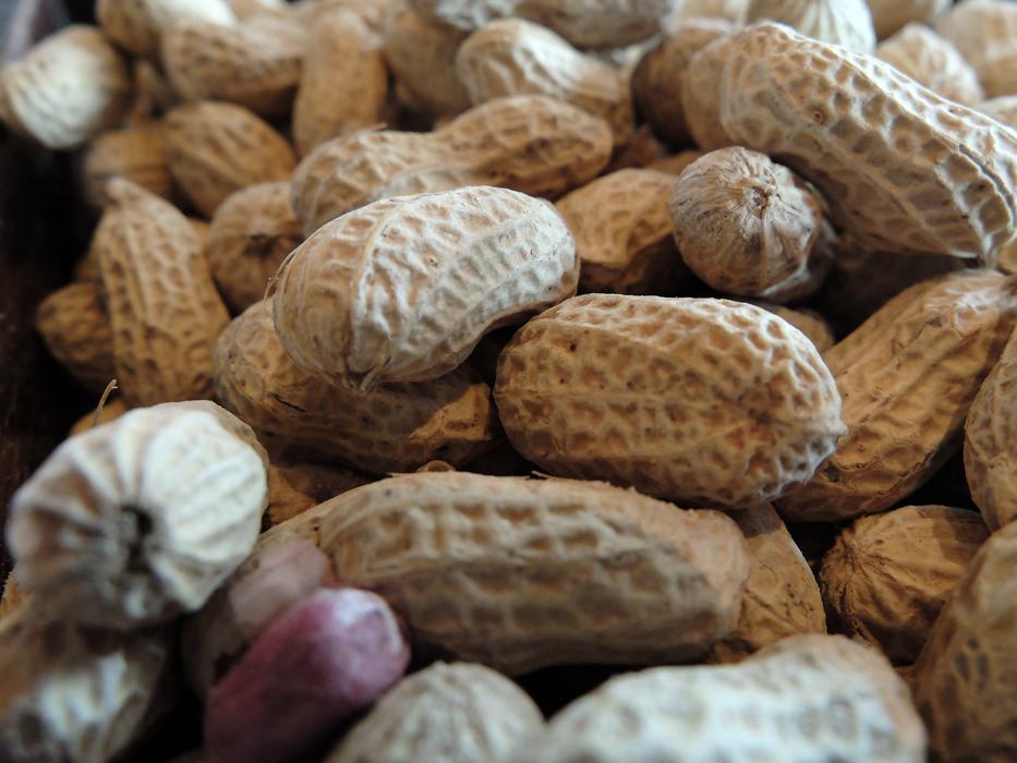shelled nuts on the counter