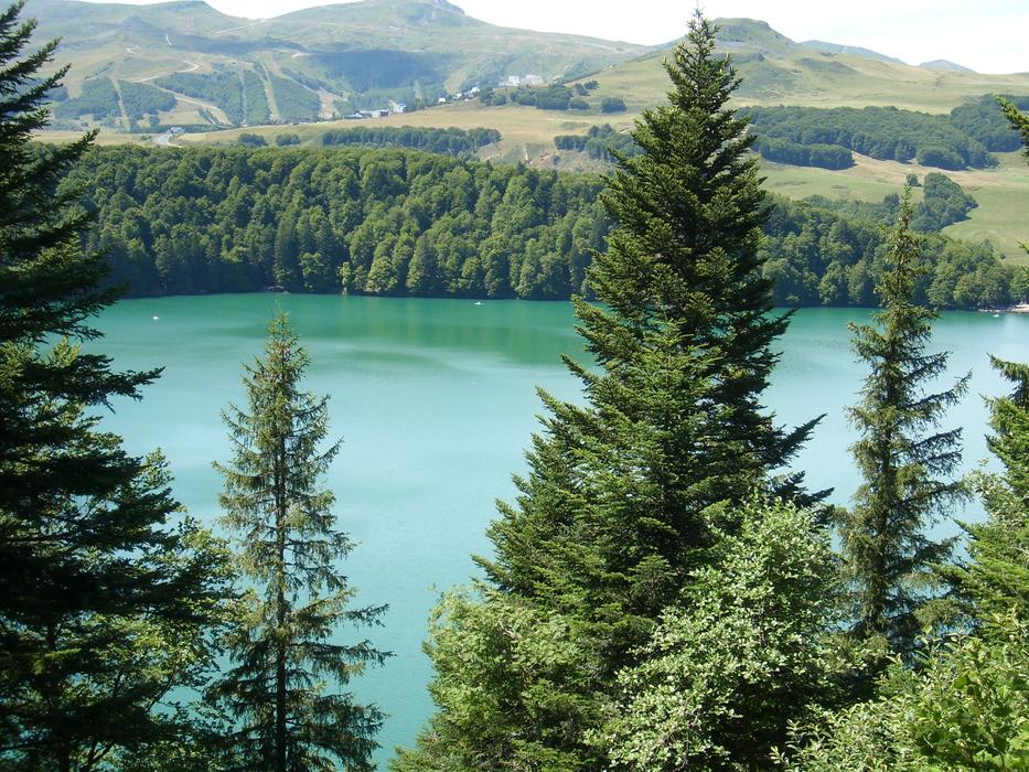 evergreen trees on the shore of a turquoise lake