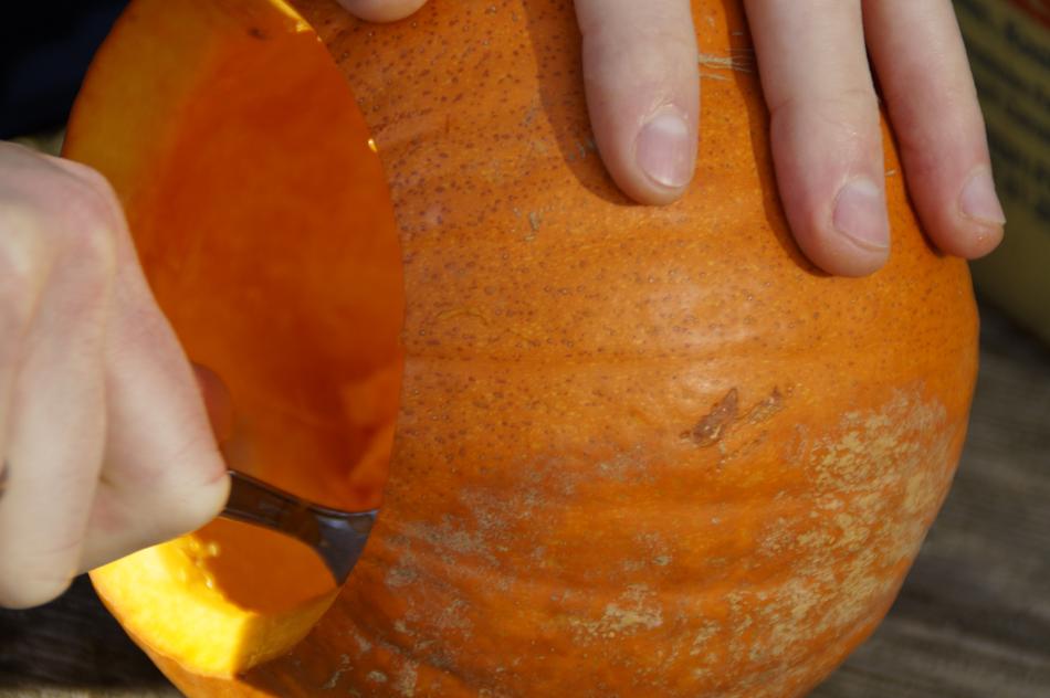 Person taking pulp out of the pumpkin, with spoon