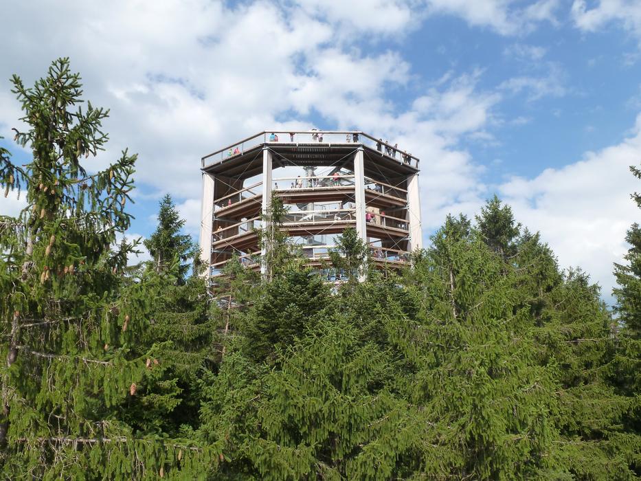 Lipno Lookout In The