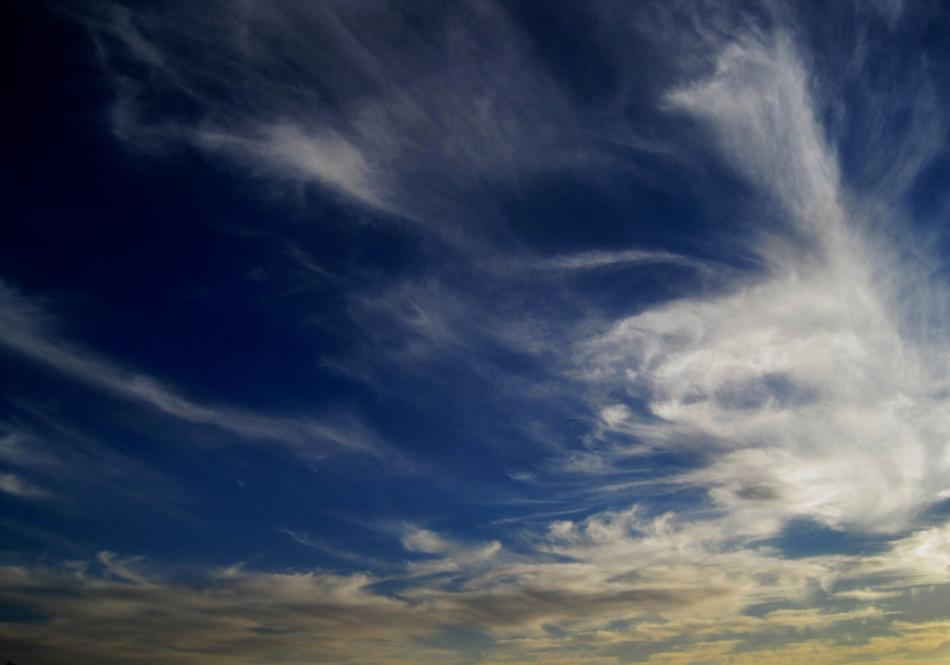 Cloud Feathered in the dark blue sky