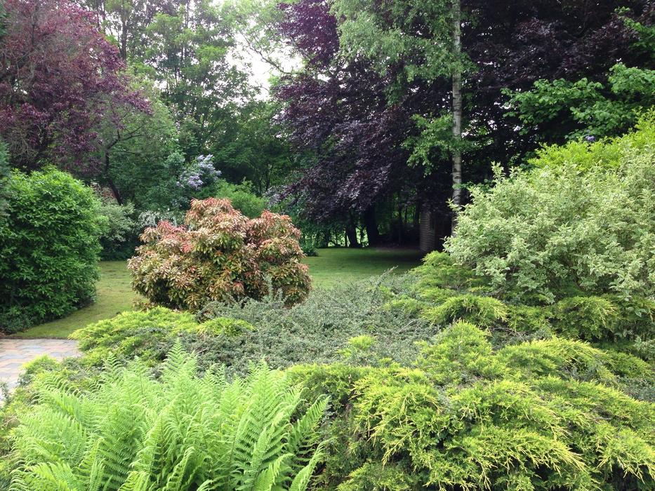 Park Garden in Drenthe
