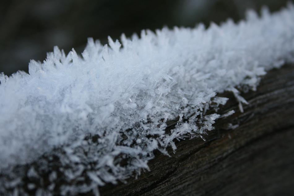 white frost on wood board
