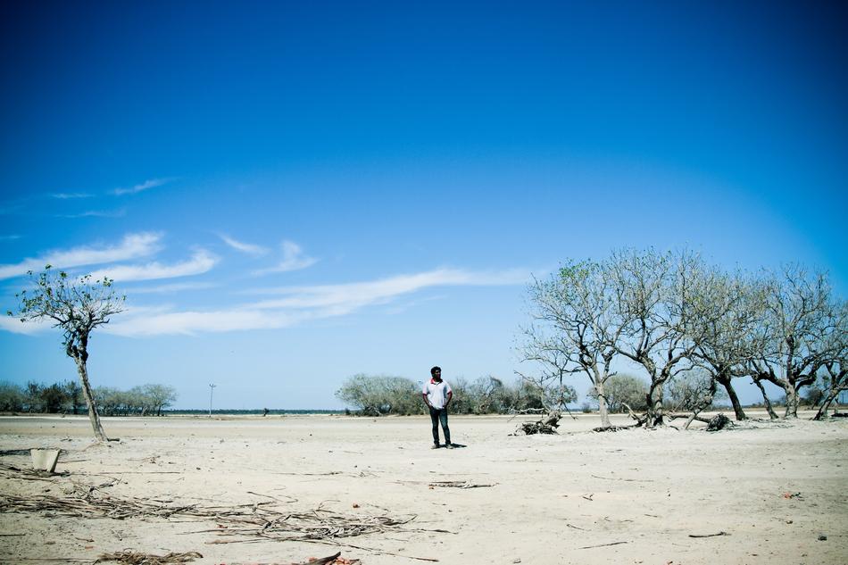 man among the trees in the desert in sri lanka
