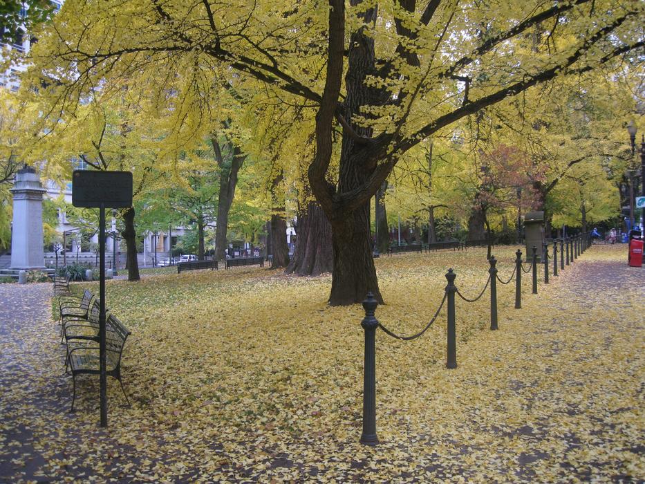 autumn park in Portland