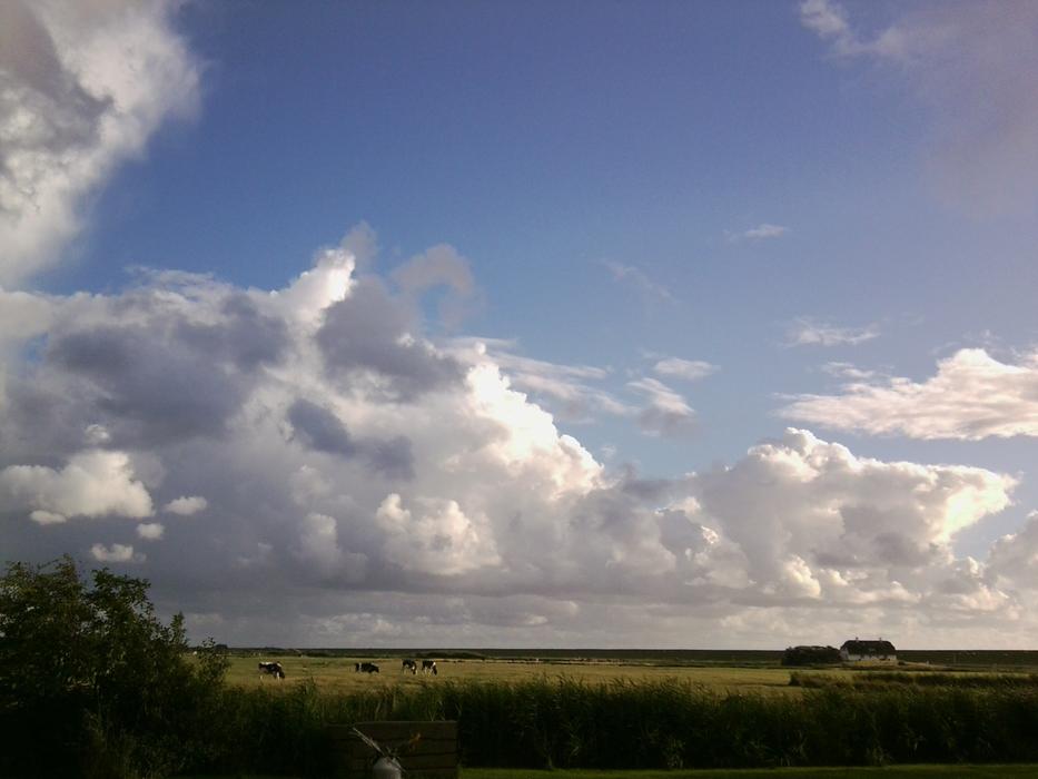 green field on the island against the background of clouds