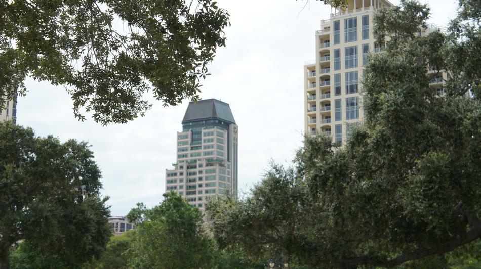 modern skyscrapers among green trees in St. Petersburg