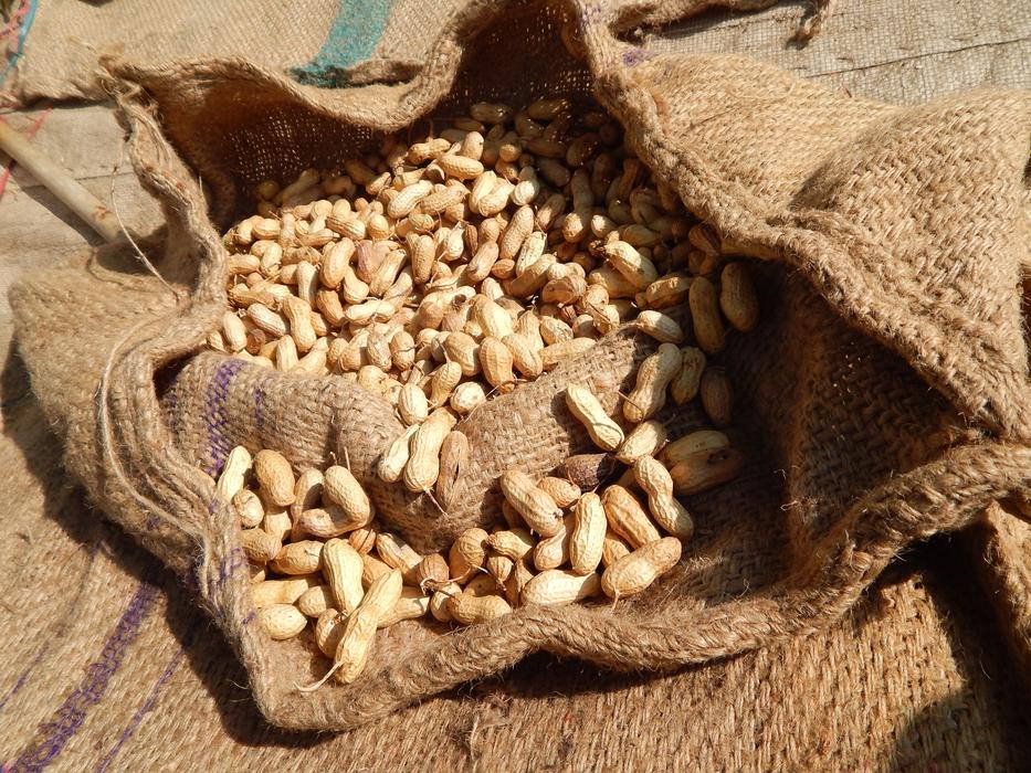 Peanut Bag Raw