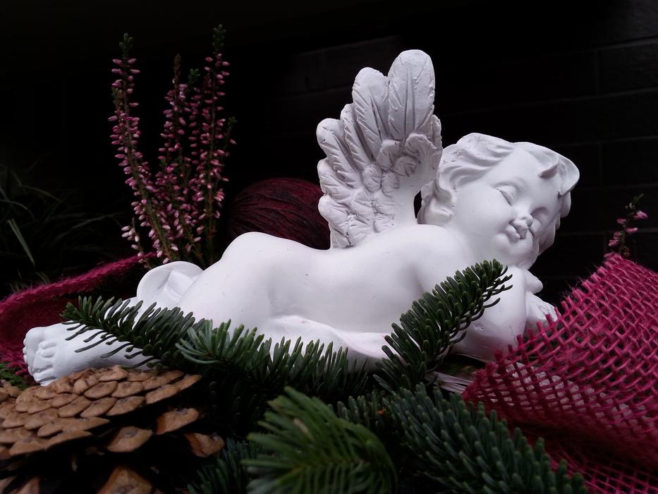 fir branches lying next to a christmas angel