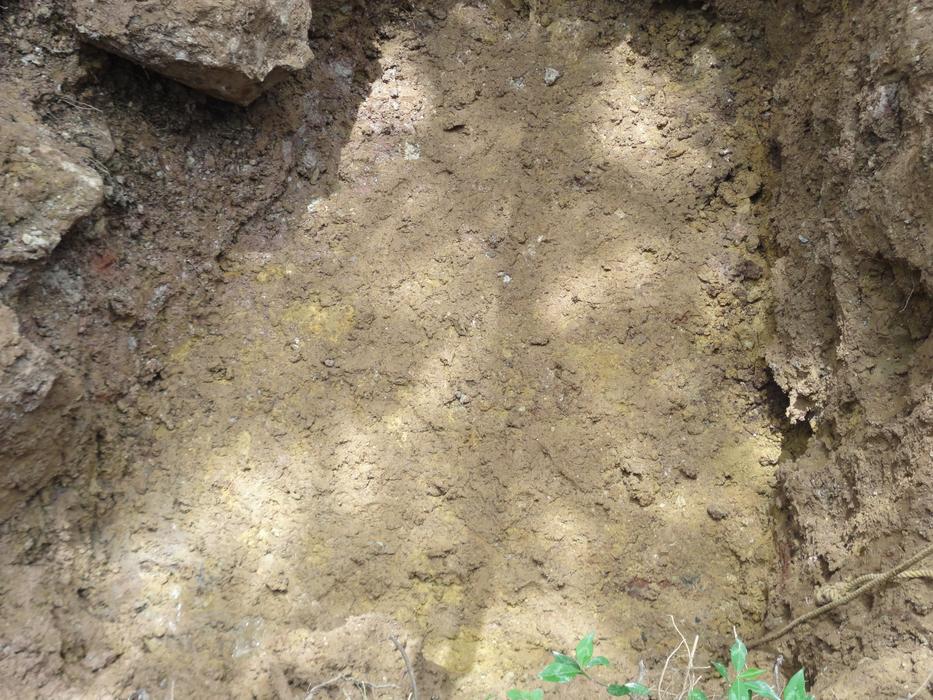Top view of the mud with rocks and green plants