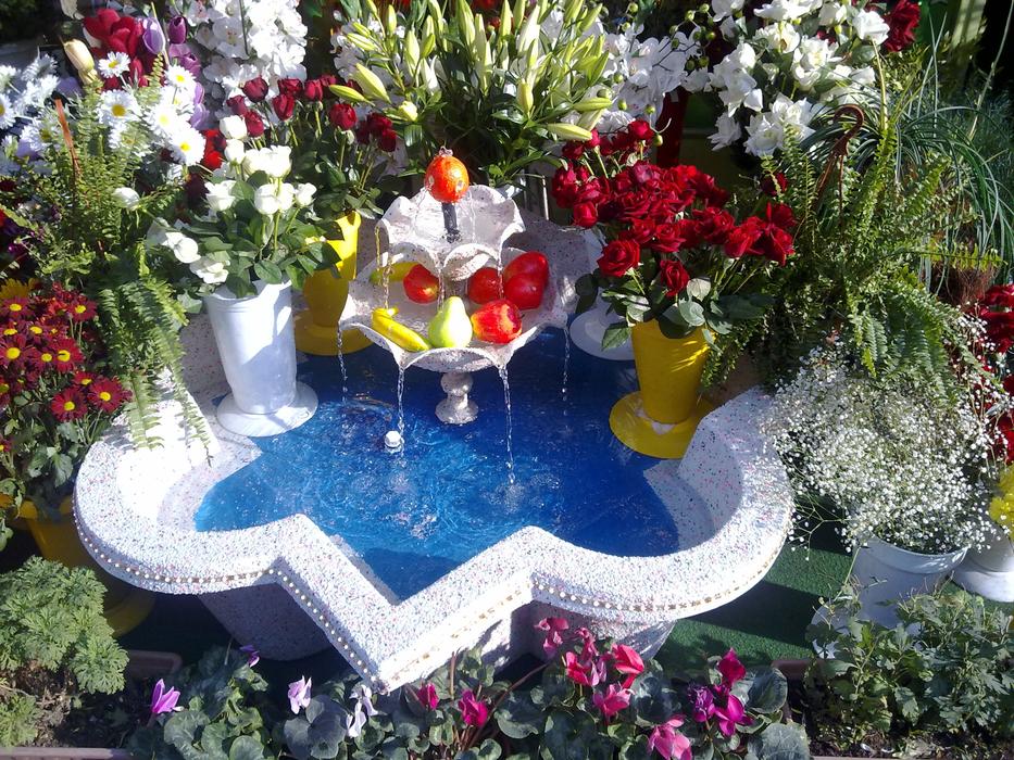 Ornamental Pool Pools