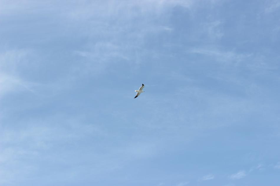Sky Blue Nuve