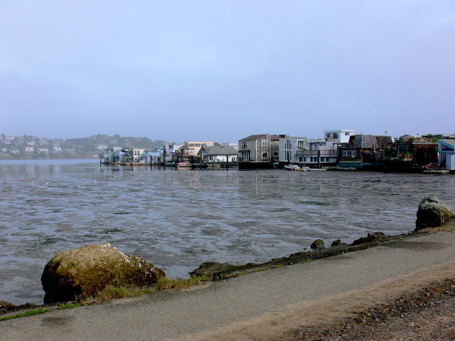 mud after low tide