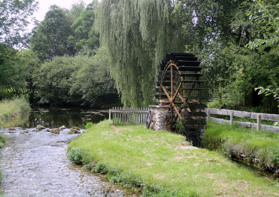waterwheel on River beneath weeping willow, germany, Altmannstein, Schambach
