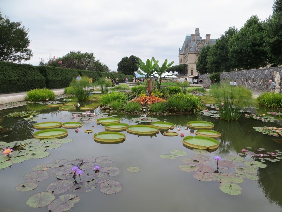 fabulous Garden Biltmore
