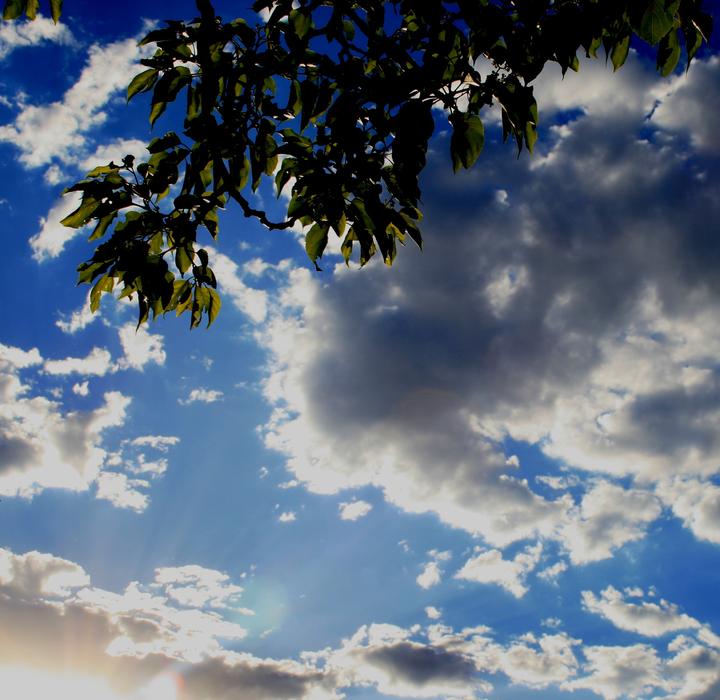 Luminescent Clouds at Sky
