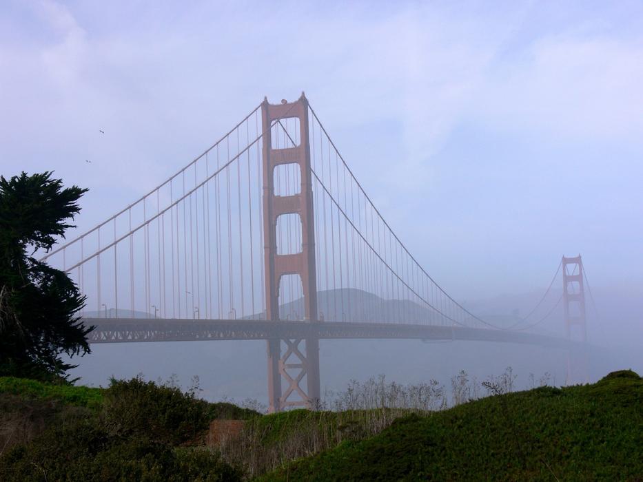 the golden gate bridge in the morning fog