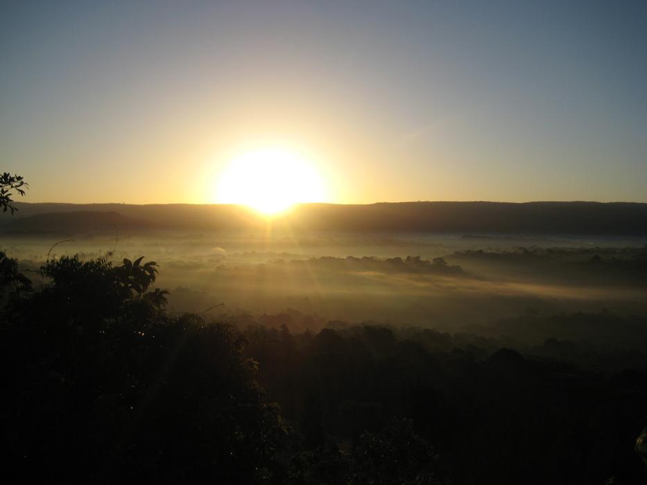 sunrise over the rainforest at Kakamega
