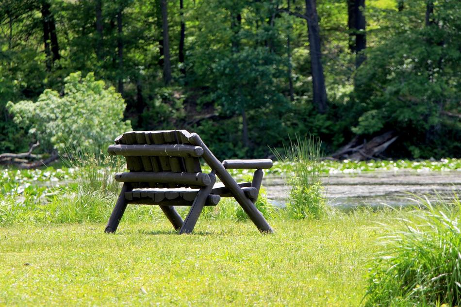Bench Wooden Lakeside