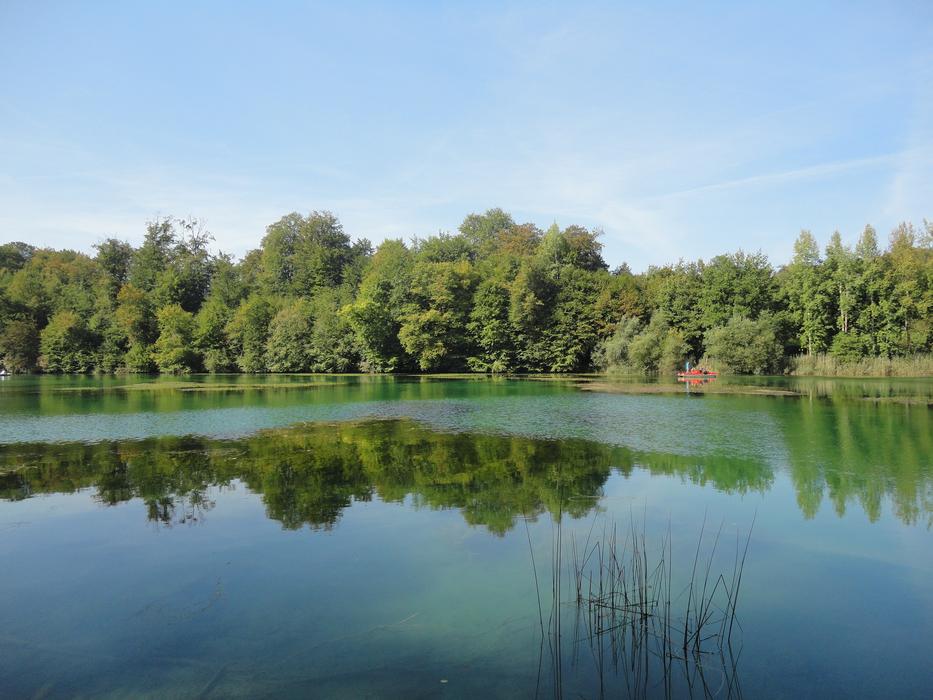 WÃ¶hr Lake Mirroring Water
