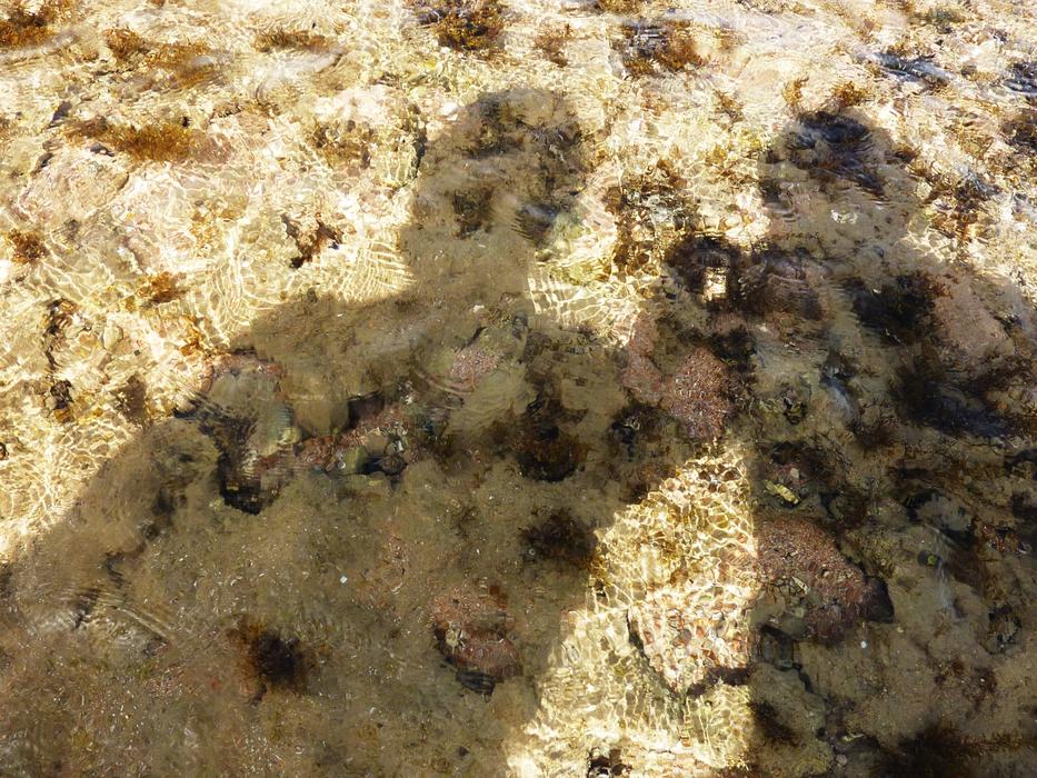 Shadows of the people on the ground, near the sea