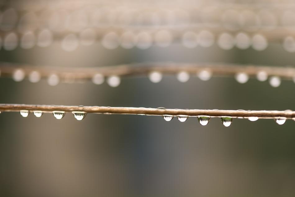 Drops Pearls Mirror on lines