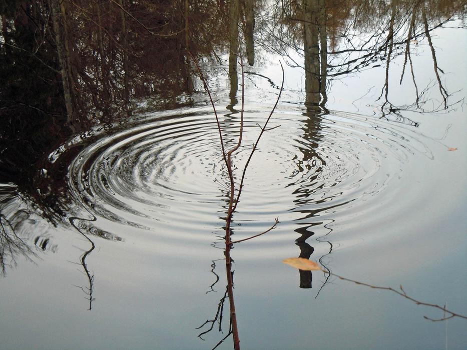 Drip Water Surface