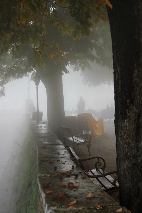 Beautiful landscape of the colorful park in fog, in Groznjan, Croatia