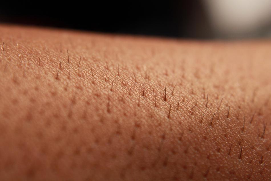 Close-up of the person's arm with hair