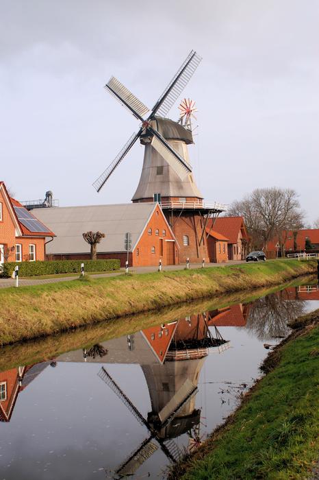landscape of Windmill Grind Wing Flour