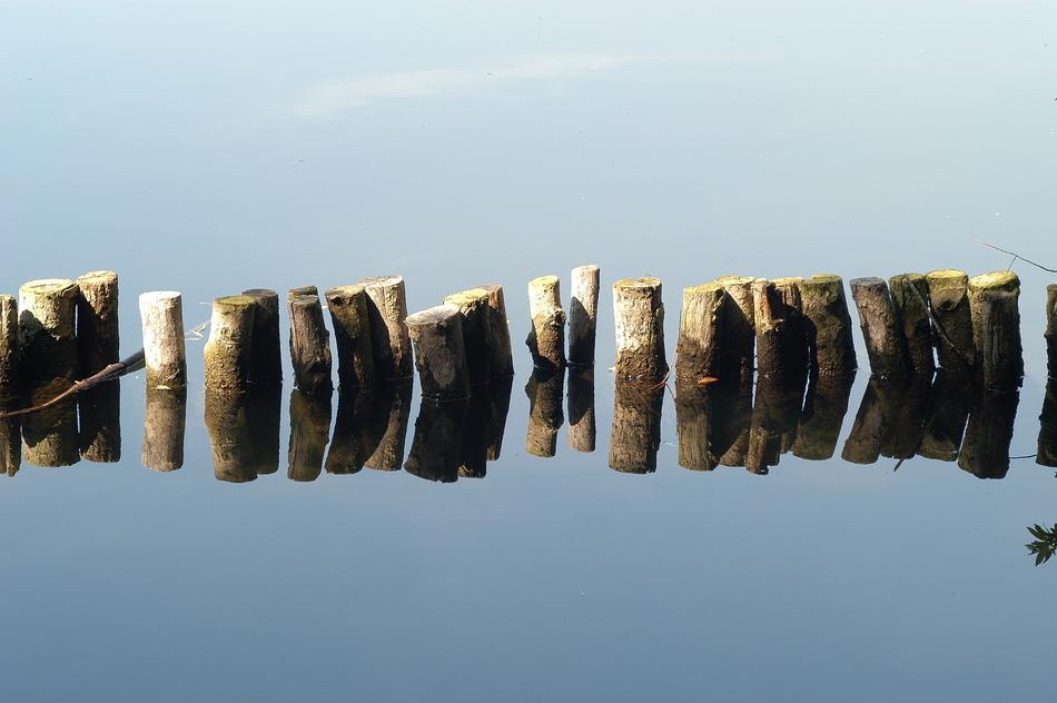wooden pillars in the lake close up