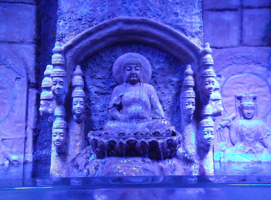 melbourne aquarium in Antalya