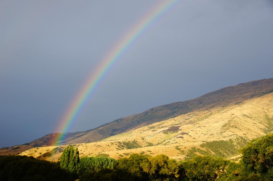 Rainbow New Zealand