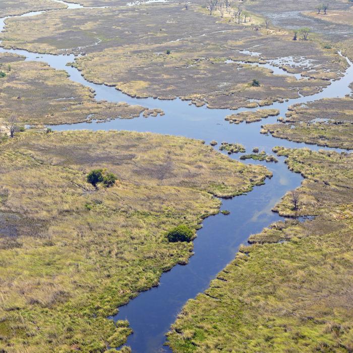 panoramic view of the Okavango Delta