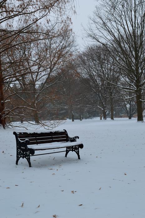Bench Winter Season