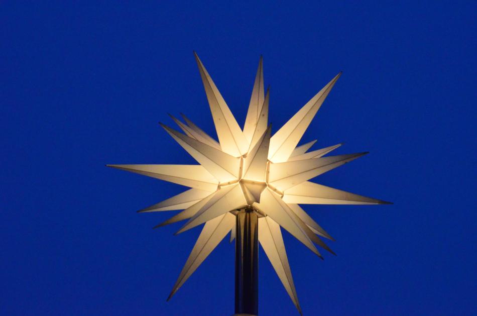 Poinsettia Night Sky Adventsstern