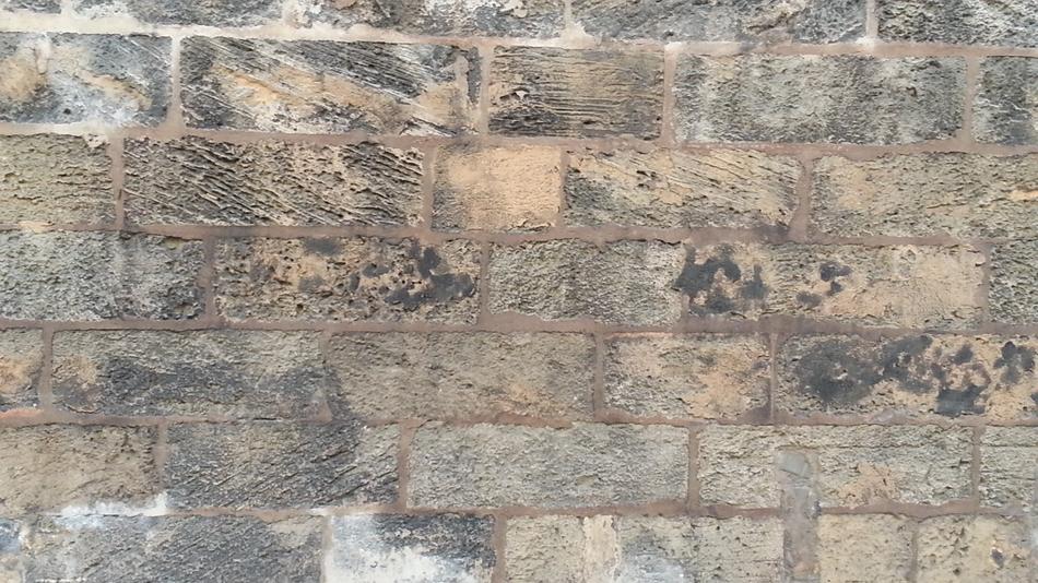 Wall Paredon Tapia Low