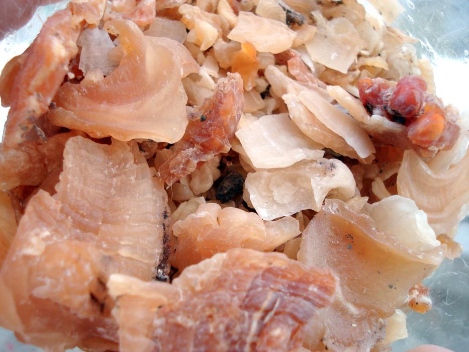 Tragacanth Gum