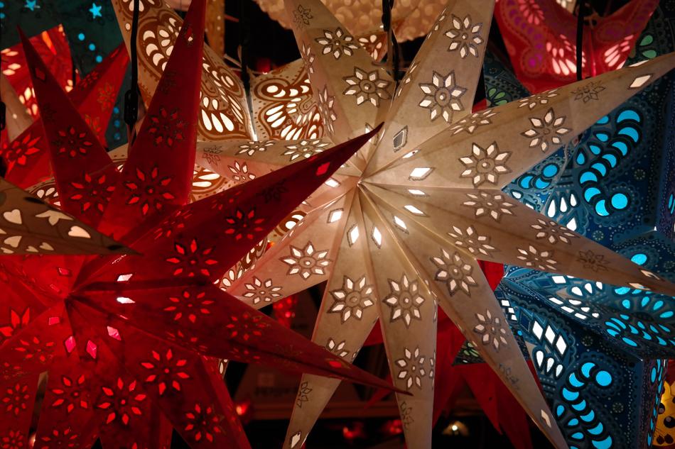 Poinsettia Red Blue